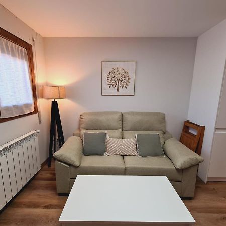 Puente Viejo Apartment Santa Cilia de Jaca ภายนอก รูปภาพ