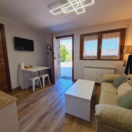 Puente Viejo Apartment Santa Cilia de Jaca ภายนอก รูปภาพ